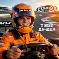 F1迈凯伦车队车手兰多·诺里斯肖像 - 英国新星