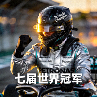 F1梅赛德斯车队车手刘易斯·汉密尔顿肖像 - 七届世界冠军